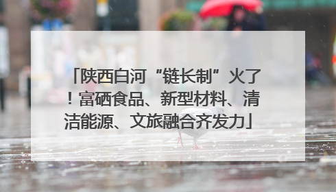 陕西白河“链长制”火了！富硒食品、新型材料、清洁能源、文旅融合齐发力