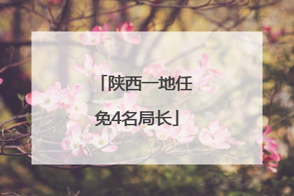 陕西一地任免4名局长