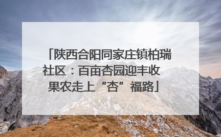 陕西合阳同家庄镇柏瑞社区：百亩杏园迎丰收 果农走上“杏”福路