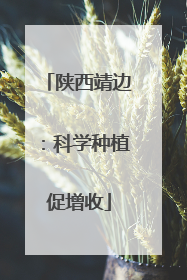 陕西靖边：科学种植促增收