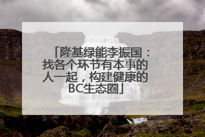 隆基绿能李振国：找各个环节有本事的人一起，构建健康的BC生态圈