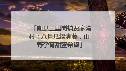 随县三里岗镇贾家湾村：八月瓜缀满藤，山野孕育甜蜜希望