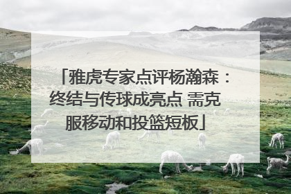 雅虎专家点评杨瀚森：终结与传球成亮点 需克服移动和投篮短板