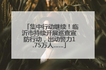 集中行动继续！临沂市持续开展巡查宣防行动，出动警力1.75万人……