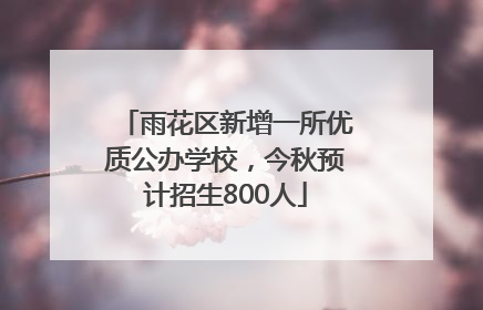 雨花区新增一所优质公办学校，今秋预计招生800人