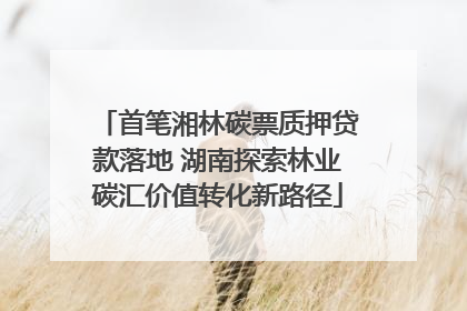 首笔湘林碳票质押贷款落地 湖南探索林业碳汇价值转化新路径