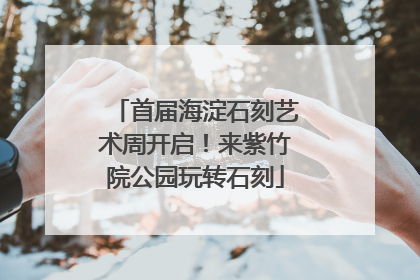 首届海淀石刻艺术周开启！来紫竹院公园玩转石刻
