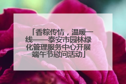 香粽传情，温暖一线——泰安市园林绿化管理服务中心开展端午节慰问活动