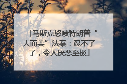 马斯克怒喷特朗普“大而美”法案：忍不了了，令人厌恶至极