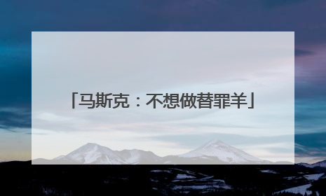 马斯克：不想做替罪羊