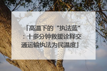 高温下的“执法蓝”：十多分钟救援诠释交通运输执法为民温度