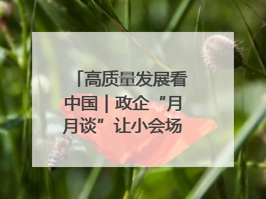 高质量发展看中国｜政企“月月谈”让小会场撬动大营商