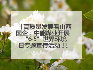 高质量发展看山西国企：中能煤业开展“6·5”世界环境日专题宣传活动 共筑绿色矿山