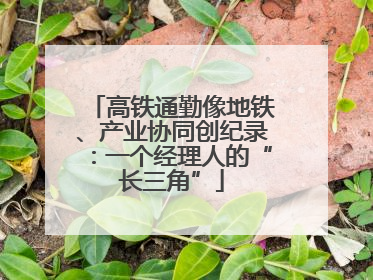 高铁通勤像地铁、产业协同创纪录：一个经理人的“长三角”