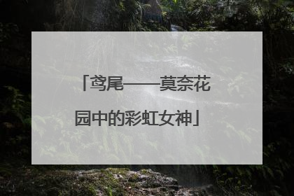 鸢尾——莫奈花园中的彩虹女神