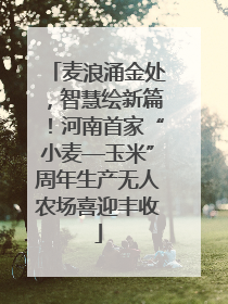 麦浪涌金处，智慧绘新篇！河南首家“小麦—玉米”周年生产无人农场喜迎丰收