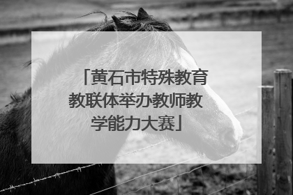 黄石市特殊教育教联体举办教师教学能力大赛