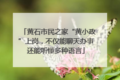 黄石市民之家“黄小政”上岗，不仅能聊天办事还能听懂多种语言