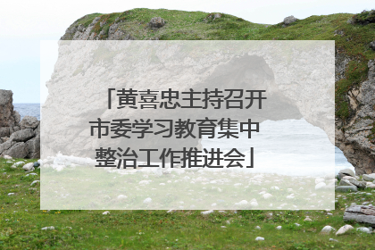 黄喜忠主持召开市委学习教育集中整治工作推进会