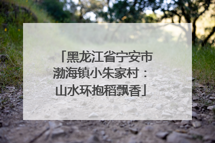 黑龙江省宁安市渤海镇小朱家村：山水环抱稻飘香