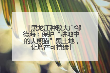 黑龙江种粮大户邹德海：保护“耕地中的大熊猫”黑土地，让增产可持续