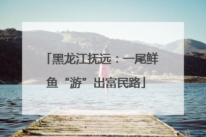 黑龙江抚远：一尾鲜鱼“游”出富民路
