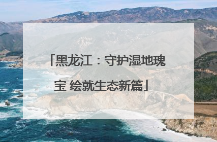 黑龙江：守护湿地瑰宝 绘就生态新篇