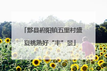 黟县碧阳镇五里村盛夏桃熟好“丰”景