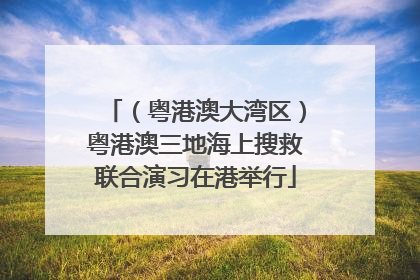 （粤港澳大湾区）粤港澳三地海上搜救联合演习在港举行