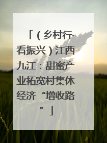 （乡村行·看振兴）江西九江：甜蜜产业拓宽村集体经济“增收路”