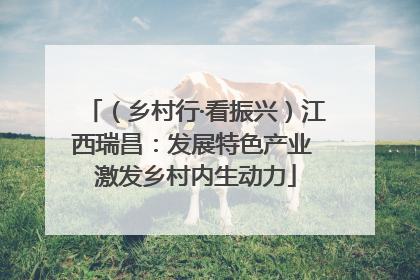 （乡村行·看振兴）江西瑞昌：发展特色产业 激发乡村内生动力
