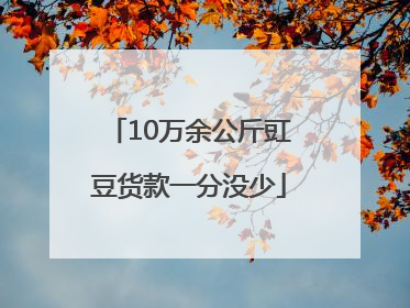 10万余公斤豇豆货款一分没少