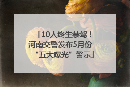 10人终生禁驾！河南交警发布5月份“五大曝光”警示