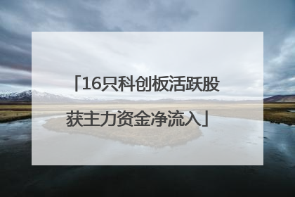16只科创板活跃股获主力资金净流入