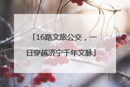 16路文旅公交，一日穿越济宁千年文脉
