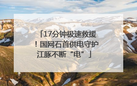 17分钟极速救援！国网石首供电守护江豚不断“电”