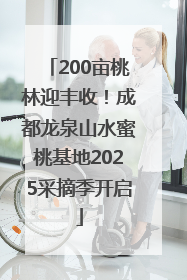 200亩桃林迎丰收！成都龙泉山水蜜桃基地2025采摘季开启