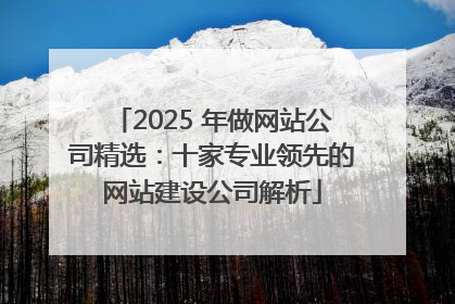 2025 年做网站公司精选：十家专业领先的网站建设公司解析