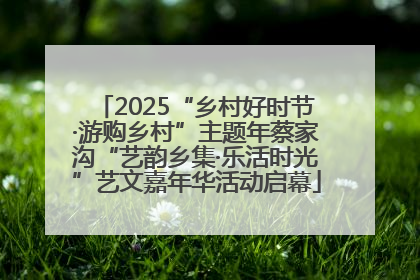 2025“乡村好时节·游购乡村”主题年蔡家沟“艺韵乡集·乐活时光”艺文嘉年华活动启幕