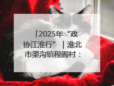 2025年“政协江淮行”｜淮北市渠沟镇程阁村：“生态痛点”变“生态景观”