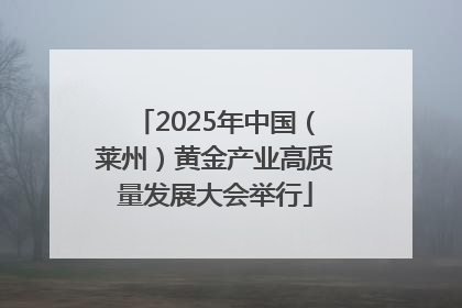 2025年中国（莱州）黄金产业高质量发展大会举行