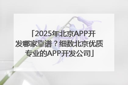 2025年北京APP开发哪家靠谱？细数北京优质专业的APP开发公司
