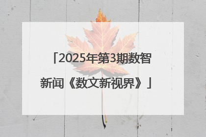 2025年第3期数智新闻《数文新视界》