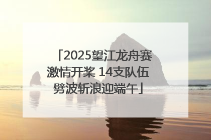 2025望江龙舟赛激情开桨 14支队伍劈波斩浪迎端午