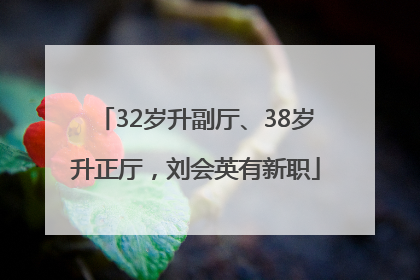 32岁升副厅、38岁升正厅，刘会英有新职
