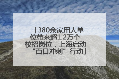 380余家用人单位带来超1.2万个校招岗位，上海启动“百日冲刺”行动