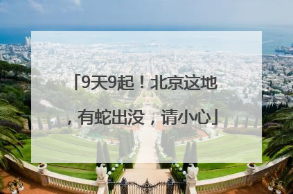 9天9起！北京这地，有蛇出没，请小心