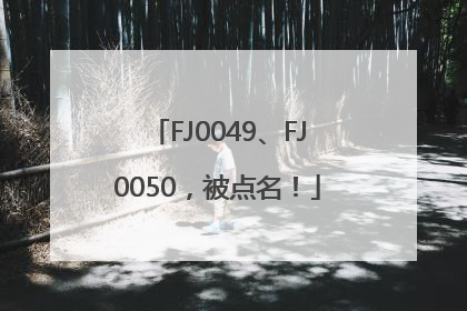 FJ0049、FJ0050，被点名！