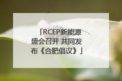 RCEP新能源盛会召开 共同发布《合肥倡议》